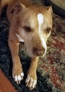 Lola (2)