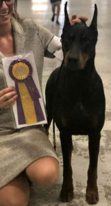 Morgan (3)