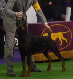 Morgan (5)